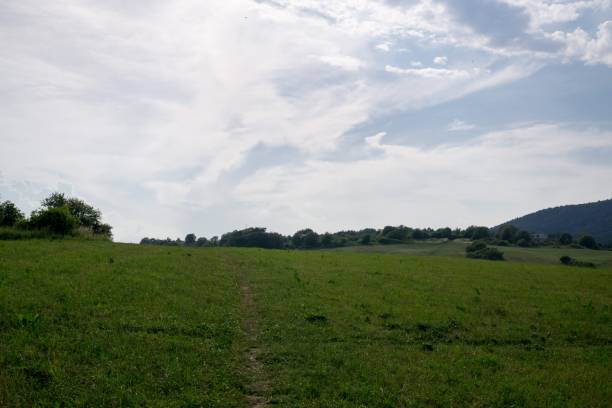 istock Green meadow with trees and views to mountains. 824969470
