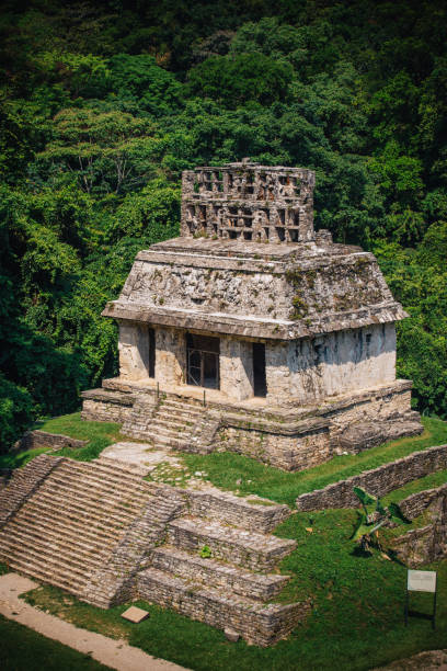 istock Palenque Maya Ruins in Yucatan, Mexico 824971090