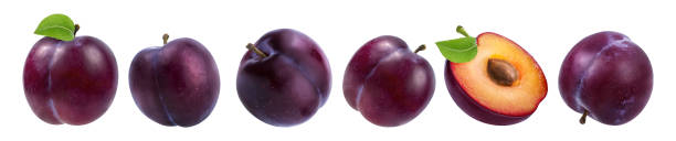 plum on a white plum on a white background plum red white purple stock pictures, royalty-free photos & images