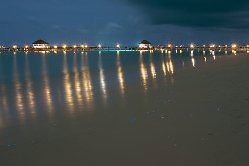 The glowing plankton on the beach on the island