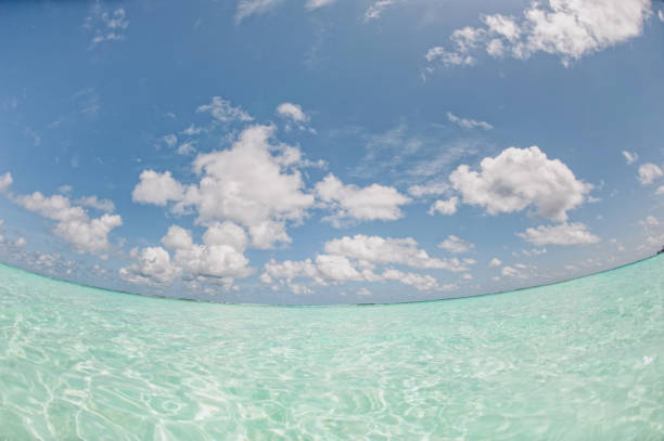 istock Beautiful white beach with palm trees in the Maldives 824982266