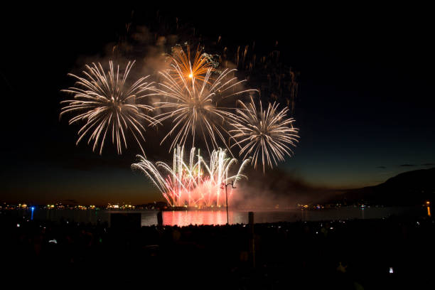 istock Beautiful fireworks ocean shore abstract flowers 824985374