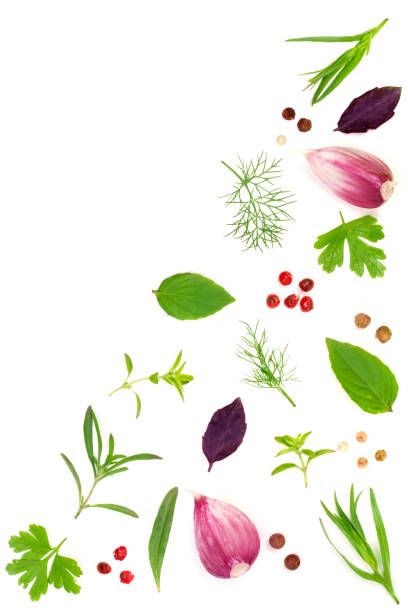 istock Fresh spices and herbs isolated on white background. Dill parsley basil thyme tartun peppercorns garlic. Top view 824988598