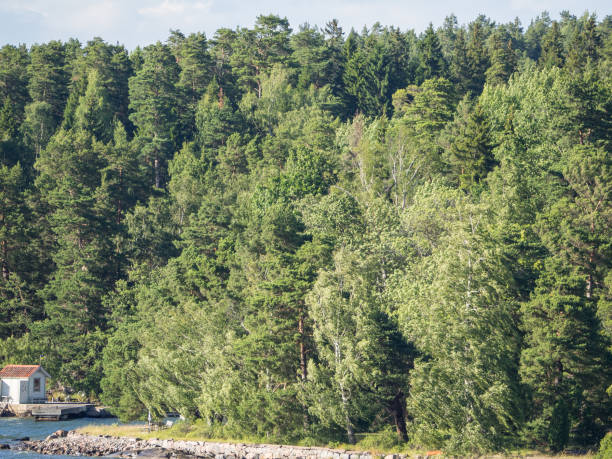 istock LANDSCAPE NEAR STOCKHOLM 824992164