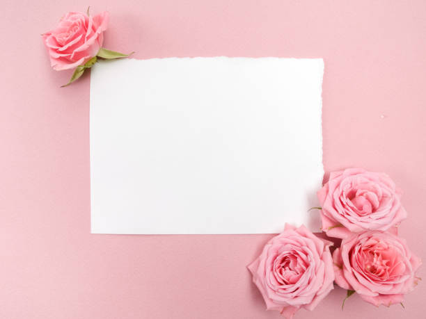 istock Pink roses on pink background with space for text. Flat lay, top view 824992420