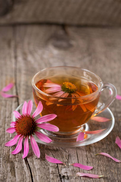 istock Cup of echinacea tea on old wooden table 824994568
