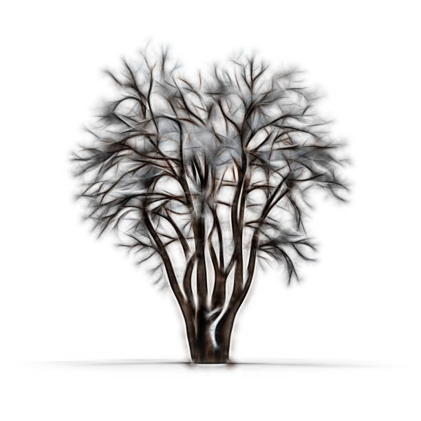 Sketch of winter tree without leaves on white background