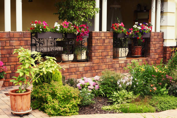 istock pot plants on mansion posh house porch 825004866
