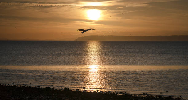istock Sunset over the Pacific, British Columbia 825005296
