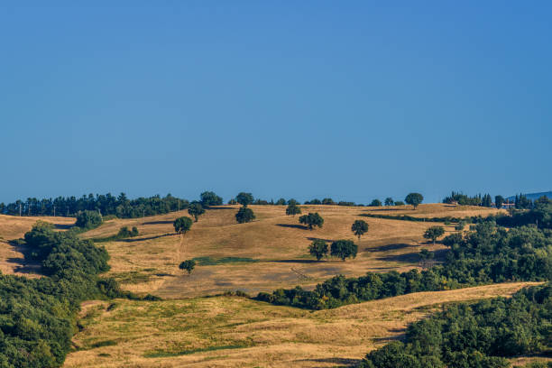 istock Summer in Tuscany 825008386