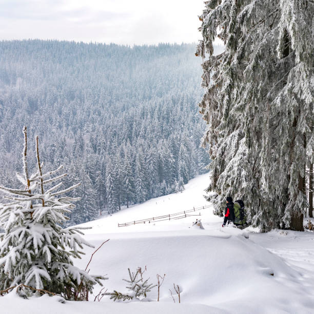 istock Man hiking in Carpathian mountains. 825011598