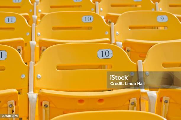 Yellow Seats Stock Photo - Download Image Now - Agricultural Field, Audience, Backgrounds