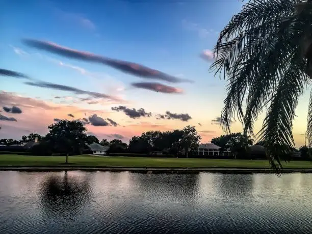 setting sun on a golf course with palm trees