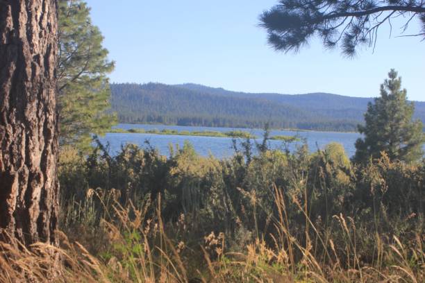 istock Soothing mountain lake 825016000