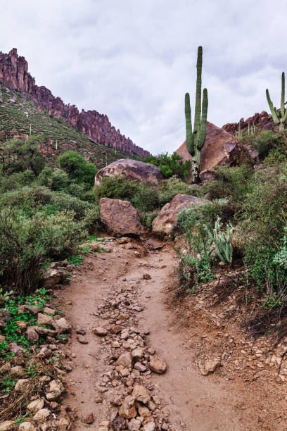 Path up to the mountains, Arizona landscape at Tonto National Forest, USA