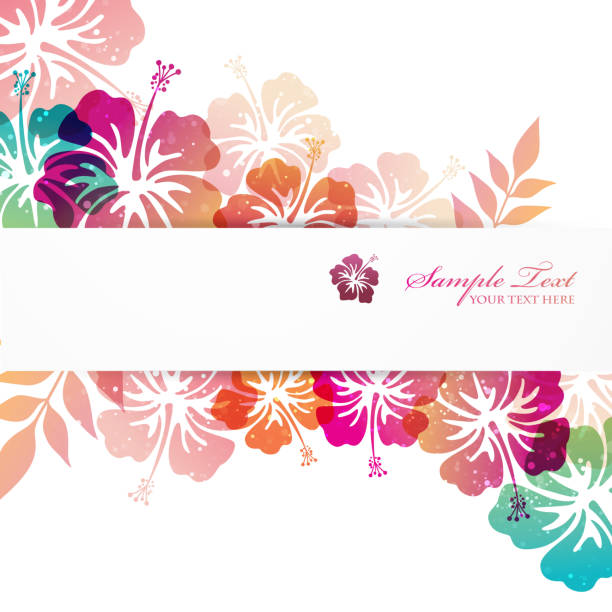 ハイビスカスの背景 - hibiscus点のイラスト素材／クリップアート素材／マンガ素材／アイコン素材