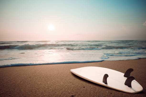 istock Surfboard on tropical beach at sunset 825024080