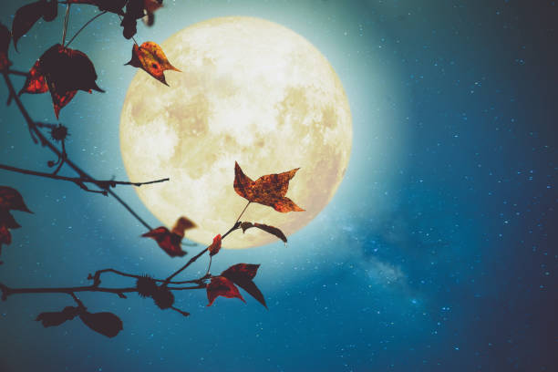 istock Beautiful autumn fantasy 825026378
