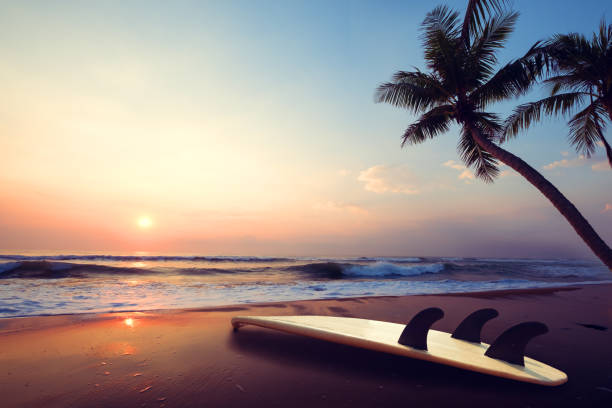 prancha de surf na praia tropical ao pôr do sol - surfing sunlight wave sand - fotografias e filmes do acervo
