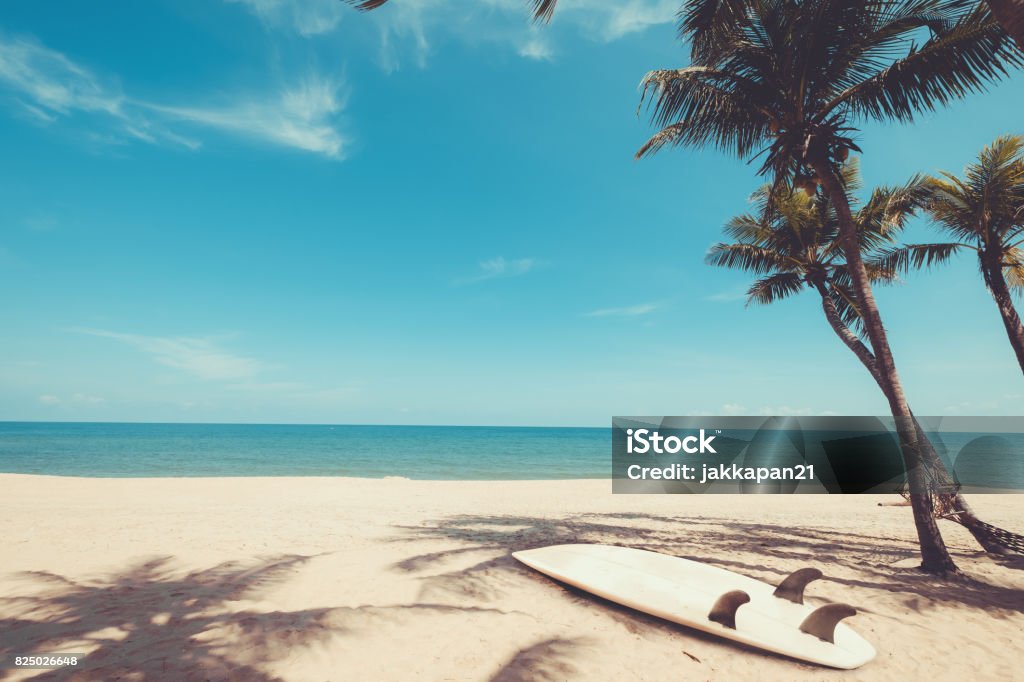 Surfboard on tropical beach Surfboard on tropical beach in summer. landscape of summer beach and palm tree with sea, blue sky background. Vintage color tone Beach Stock Photo