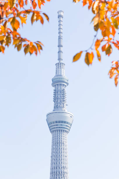 istock Tokyo, Japan - November 14, 2016,Tokyo sky tree. 825034542