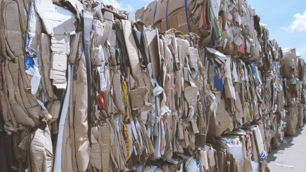 istock Compressed cardboard - recycling manufactory, close up 825037824
