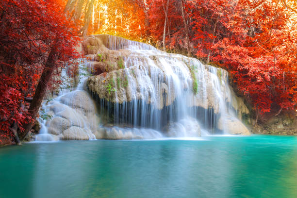istock Waterfall in Deep forest at Erawan waterfall National Park, 825037842