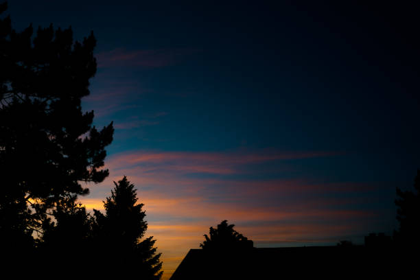 Silhouette of trees and the colorful sky