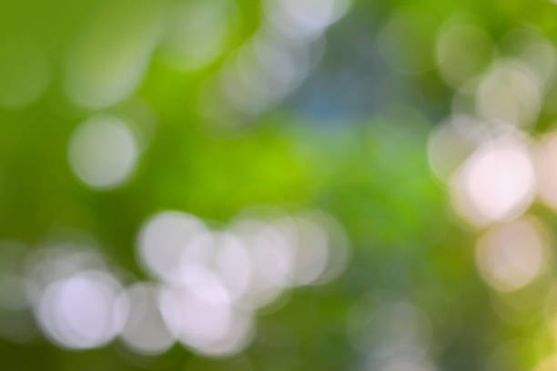 istock Natural background, beauty in nature 825046684
