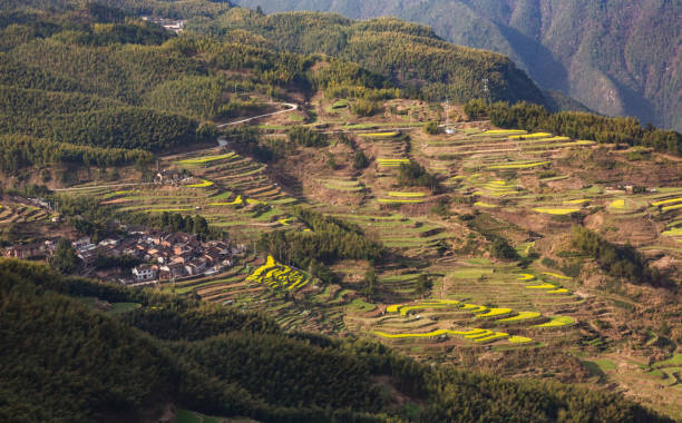 istock Scenic view of green mountain landscape 825058928
