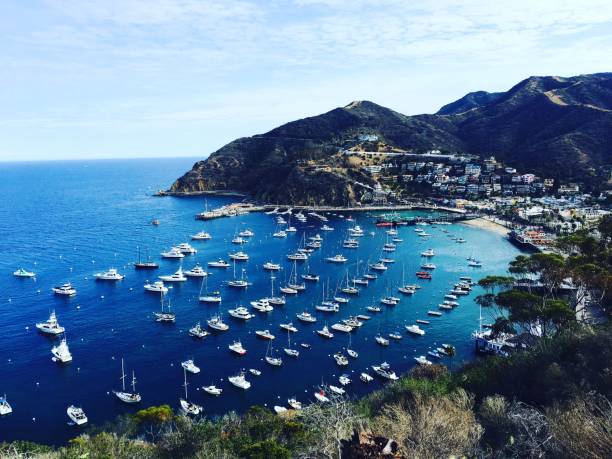 istock Catalina Island 825064160