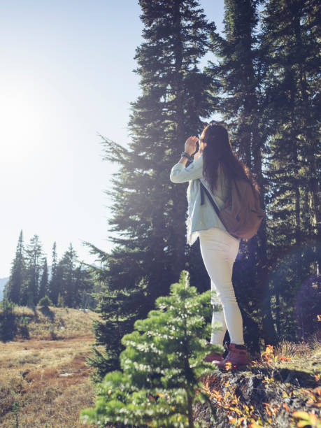 istock enjoying Mount rainier park scenery 825064318