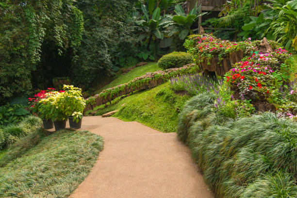 istock pathway with green grass in garden at public park 825066944