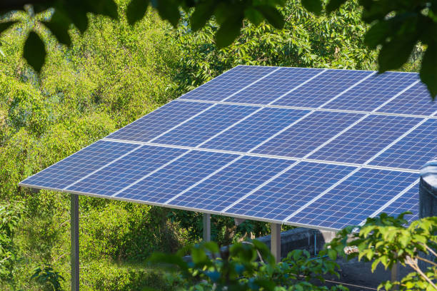 istock photovoltaic using renewable solar energy in forest 825067920