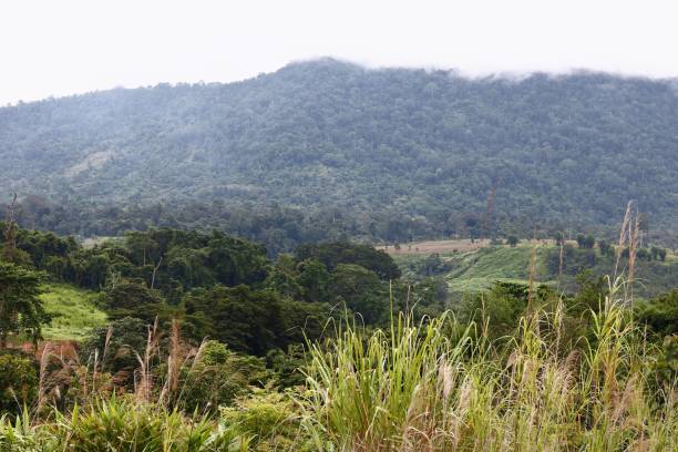 istock Khao Kho mountain in Phetchabun Province 825071932