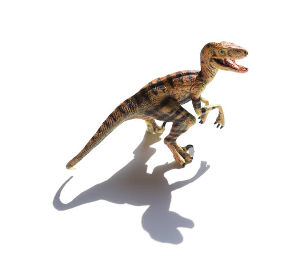 istock yellow velociraptor toy on a white background with shadow 825078664