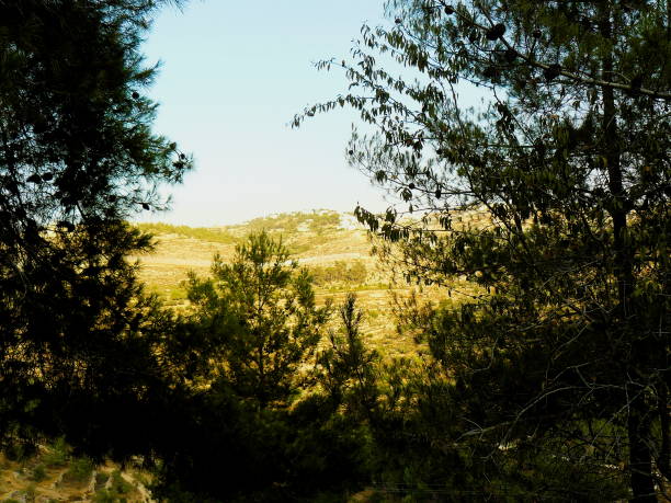 istock Trekking in Israel 825091540