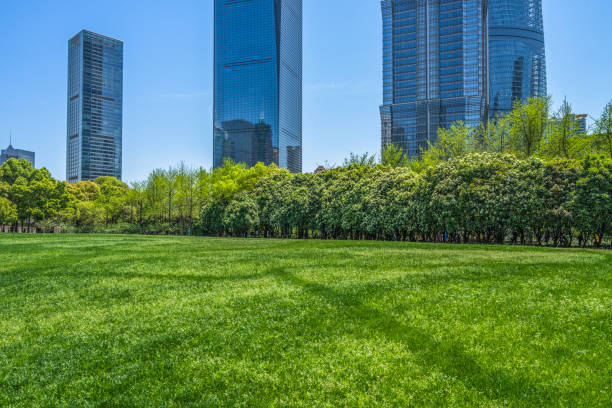 istock Buildings and green lawn in Shanghai 825092054
