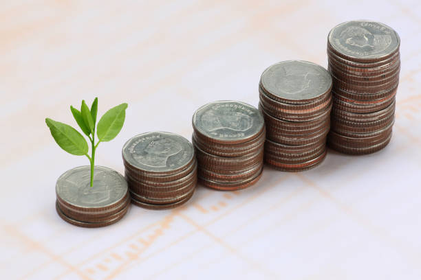 istock Silver coin stack and treetop in business growth concept on paper background. 825092086