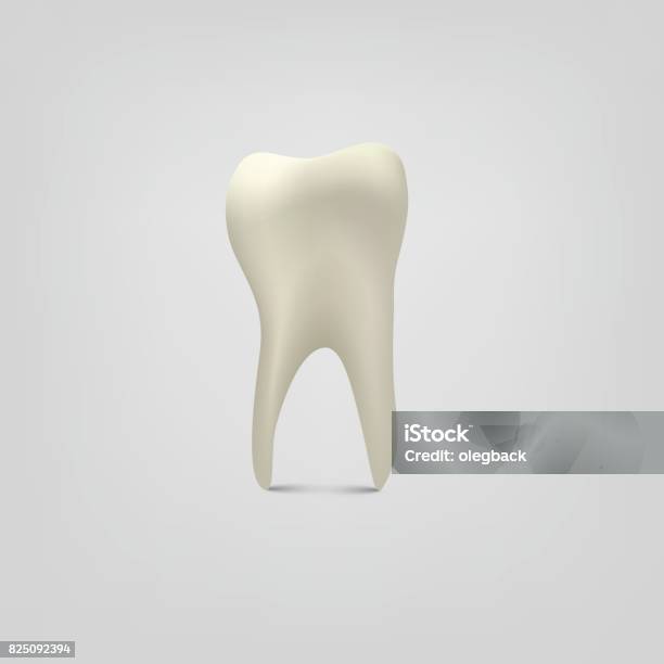 Grad Tooth Vector Vector Tooth Isolated On Gray Background Stock Illustration - Download ...