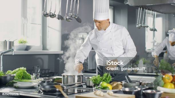 Berühmten Koch Ein Großes Restaurant Bietet Gerichte Mit Seiner Hilfe Der Köche Moderne Küche Ist Der Edelstahl Gemacht Und Voll Von Kochen Zutaten Stockfoto und mehr Bilder von Arbeitskollege