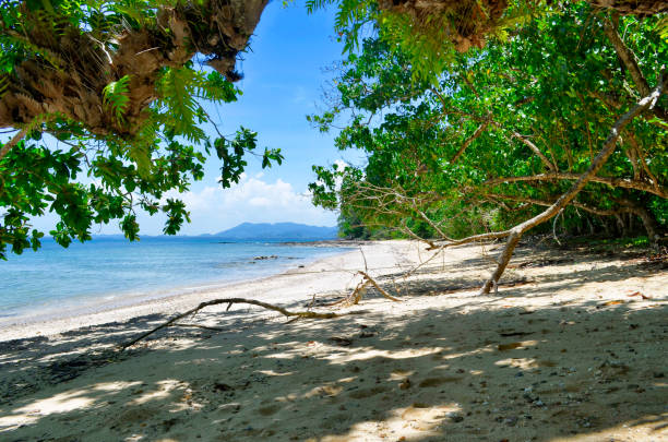 istock Secluded Sabai beach on Mook island 825096580