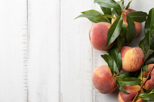 istock Fresh peaches fruits with leaves on stone background 825099350