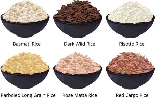 verschiedene arten von reis. langkorn-, braun und weiß. vektor-illustrationen im cartoon-stil - coarse rice stock-grafiken, -clipart, -cartoons und -symbole