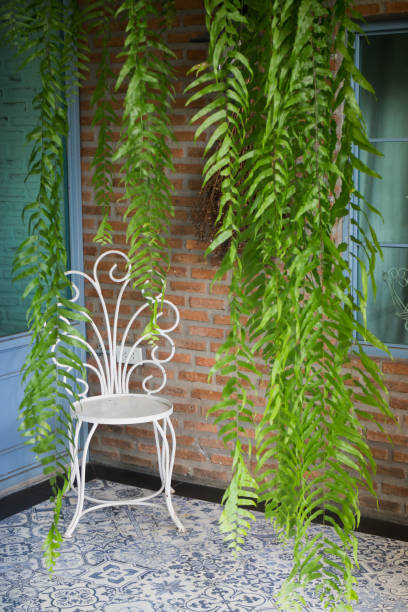 istock Vintage chair in the garden 825107464