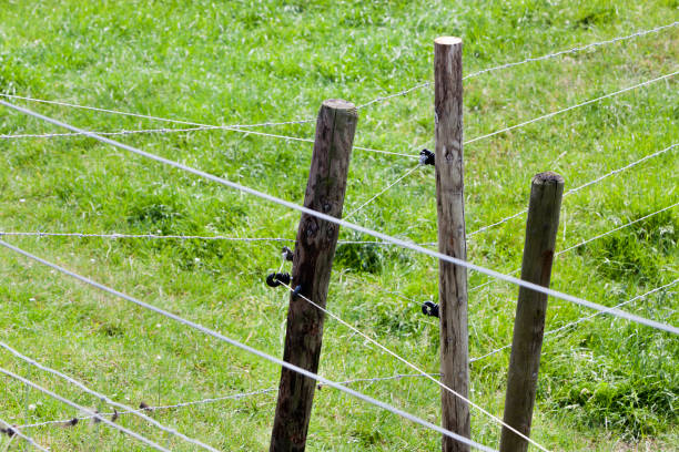 istock Poles with barbed and fence wire 825112872