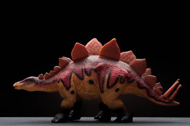 istock side view brown stegosaurus toy on a dark background 825115890