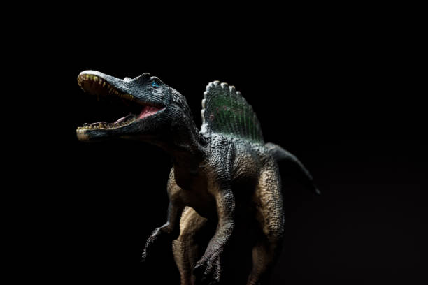 istock Spinosaurus toy on a dark background 825117180