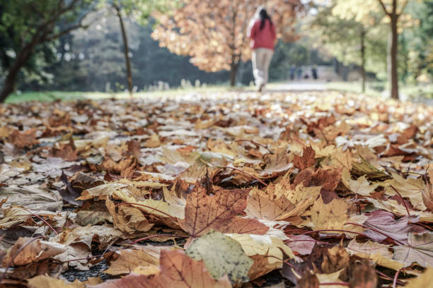 istock woman walking at park in autumn 825118192