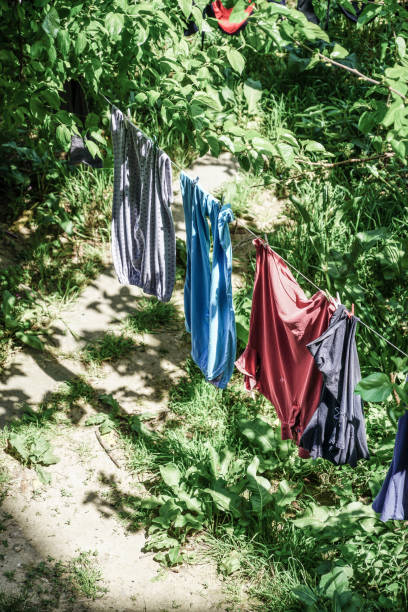 istock hanged clothes at garden in order to drying 825118230